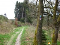Traumschleife_FrauHolle_04