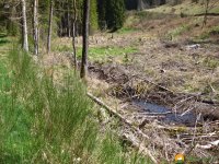 Traumschleife_FrauHolle_08