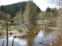 Traumschleife_FrauHolle_09