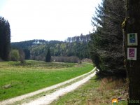 Traumschleife_FrauHolle_14
