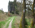 Traumschleife_FrauHolle_04