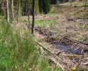 Traumschleife_FrauHolle_08