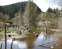 Traumschleife_FrauHolle_09