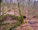 Traumschleife-Kupfer-Jaspis-Pfad-10