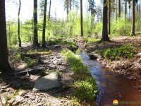 Traumschleife_Felsenweg_10