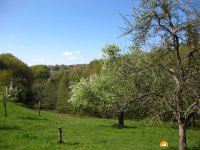 Traumschleife_Felsenweg_11