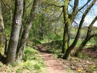 Traumschleife_Felsenweg_18