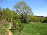 Traumschleife_Felsenweg_19
