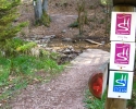 Traumschleife_Felsenweg_04