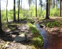 Traumschleife_Felsenweg_10