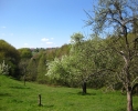 Traumschleife_Felsenweg_11