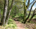 Traumschleife_Felsenweg_18