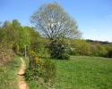 Traumschleife_Felsenweg_19