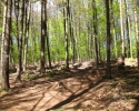Traumschleife_Felsenweg_20