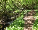 Traumschleife_Felsenweg_24
