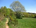Traumschleife_Felsenweg_19