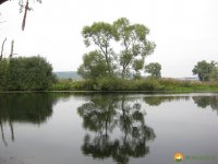 ederhoehenpfad_battenberg_frankenberg15