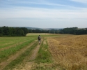 ederhoehenpfad_battenberg_frankenberg04