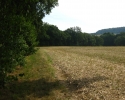 ederhoehenpfad_battenberg_frankenberg06