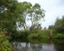 ederhoehenpfad_battenberg_frankenberg08