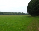 ederhoehenpfad_battenberg_frankenberg14