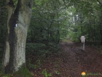 ederhoehenpfad_frankenberg_schmittlotheim01
