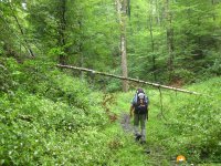 ederhoehenpfad_frankenberg_schmittlotheim11