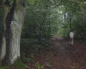 ederhoehenpfad_frankenberg_schmittlotheim01