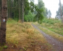 ederhoehenpfad_frankenberg_schmittlotheim03