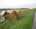 ederhoehenpfad_frankenberg_schmittlotheim06