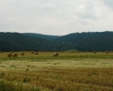ederhoehenpfad_frankenberg_schmittlotheim09