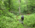 ederhoehenpfad_frankenberg_schmittlotheim11