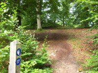 urwaldsteig_schmittlotheim_hemfurth07