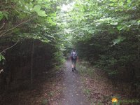 urwaldsteig_schmittlotheim_hemfurth09
