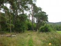 urwaldsteig_schmittlotheim_hemfurth13