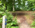 urwaldsteig_schmittlotheim_hemfurth07