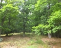 urwaldsteig_schmittlotheim_hemfurth10