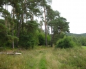 urwaldsteig_schmittlotheim_hemfurth13