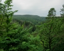 urwaldsteig_schmittlotheim_hemfurth15