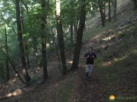 auf-dem-urwaldsteig_hemfurth_nieder-werbe02
