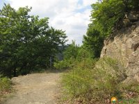 auf-dem-urwaldsteig_hemfurth_nieder-werbe13