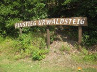 auf-dem-urwaldsteig_hemfurth_nieder-werbe15
