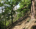 auf-dem-urwaldsteig_hemfurth_nieder-werbe07