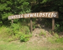 auf-dem-urwaldsteig_hemfurth_nieder-werbe15