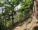 auf-dem-urwaldsteig_hemfurth_nieder-werbe07