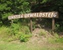 auf-dem-urwaldsteig_hemfurth_nieder-werbe15