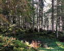Vilsalpsee-23