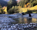 Vilsalpsee-30