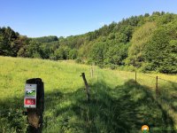 WaellerTour-Brexbachschluchtweg-03