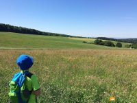 WaellerTour-Brexbachschluchtweg-04